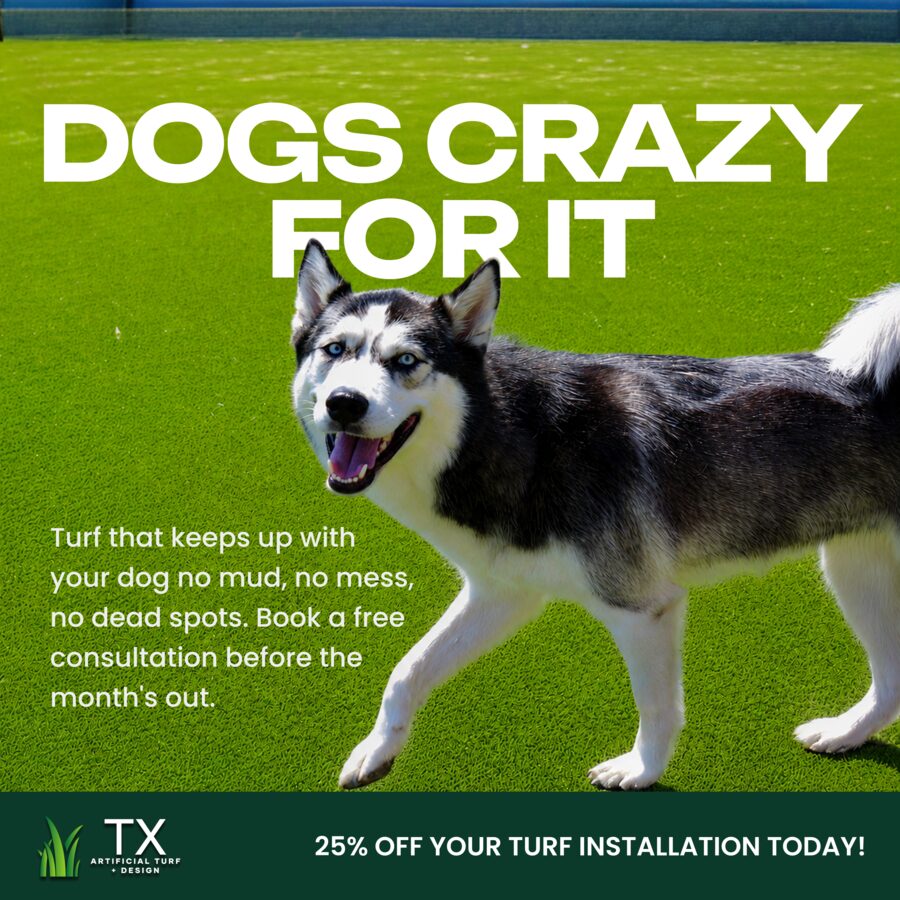 Dogs Crazy For It