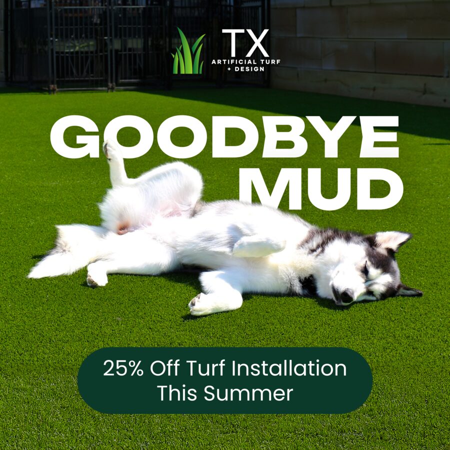 Goodbye Mud