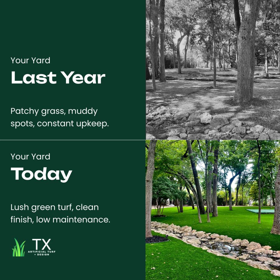 Your Yard: Last Year vs. Today
